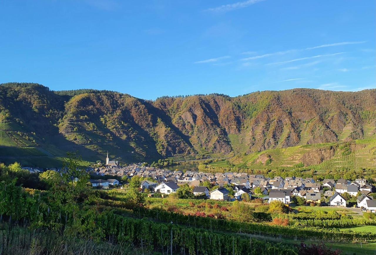 Attraktive Wohnung-Elztalidyll-Zwischen Mosel,Nuerburgring Und Burg Eltz Kollig Buitenkant foto
